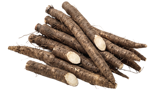 Burdock Root