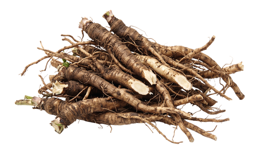 Dandelion Root