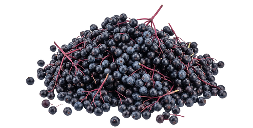 Elderberry